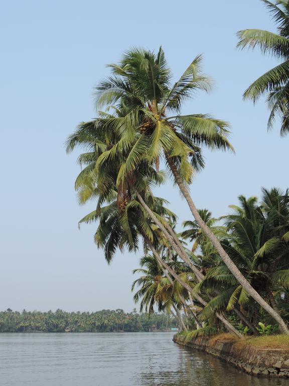 Aroma Home Stay Kochi Kültér fotó